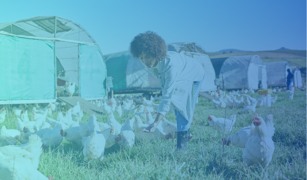 Sustainability and risk management: two sides of the same coin